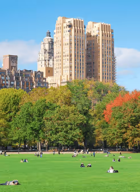 Green park with people relaxing, colorful autumn trees, and tall beige buildings in background.