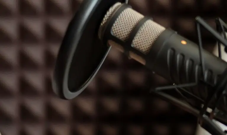 Close-up of a professional studio microphone with a pop filter against acoustic foam panels.